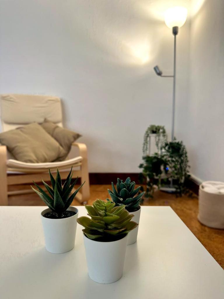 Apartamento Soleado Para 8 Personas En Сантонья Номер фото